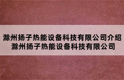 滁州扬子热能设备科技有限公司介绍 滁州扬子热能设备科技有限公司